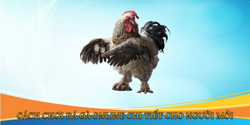 Cách Chơi Đá Gà Online Chi Tiết Cho Người Mới
