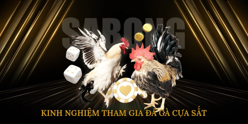Kinh nghiệm tham gia đá gà cựa sắt