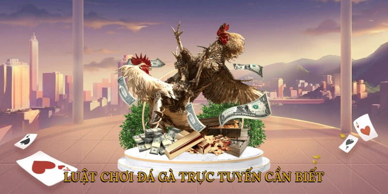 Luật Chơi Đá Gà Trực Tuyến Cần Biết