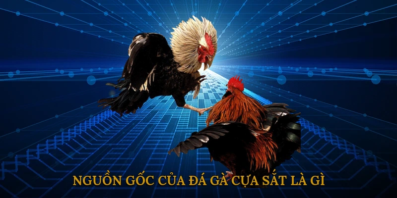 Nguồn gốc của đá gà cựa sắt