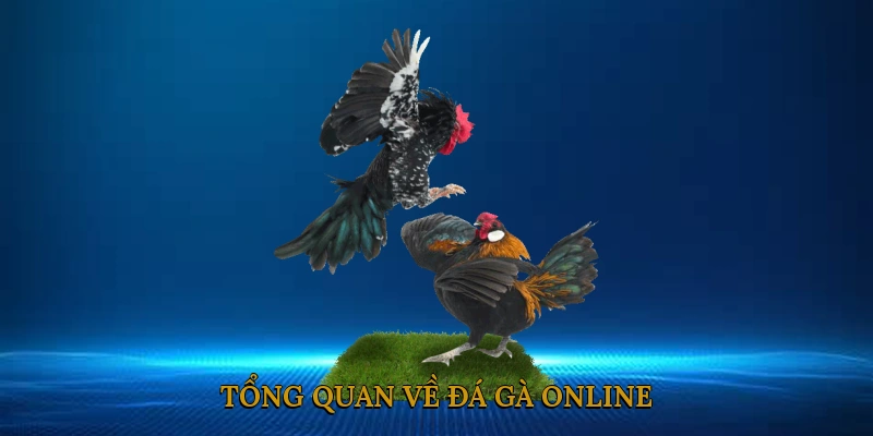 Tổng Quan Về Đá Gà Online