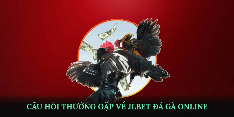 Câu hỏi thường gặp về JLBET đá gà online