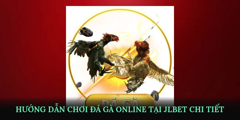 Hướng dẫn chơi đá gà online tại JLBET chi tiết