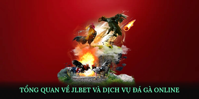 Tổng quan về JLBET và dịch vụ đá gà online